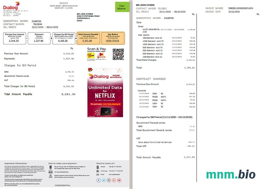 Szablon rachunku za media dialog Sri Lanka w formacie Word i PDF (2 strony)